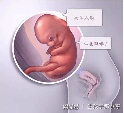 第三代试管婴儿 PGT